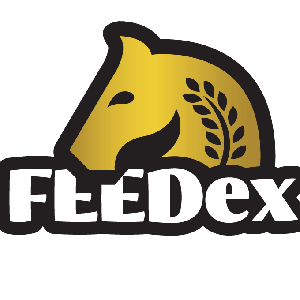 Suplementy na stawy dla koni - Karmy dla kotów - Feedex